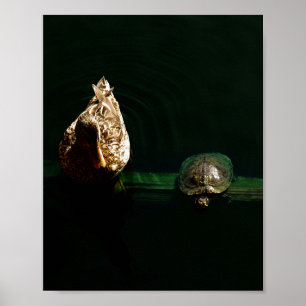 Poster Photographie d'art de la tortue et du canard