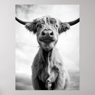 Poster Photographie d'art de style Saint-Vache Mesotint