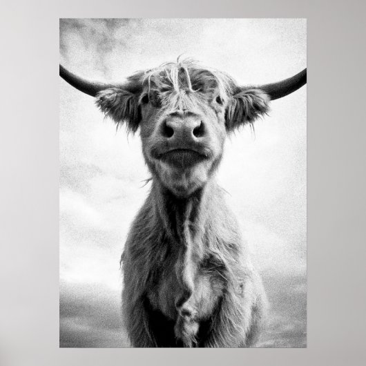 Poster Photographie d'art de style Saint-Vache Mesotint (Devant)
