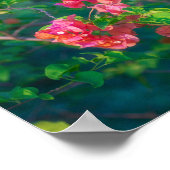 Poster Photographie d'art mural de fleur de bougainvillée (Coin)