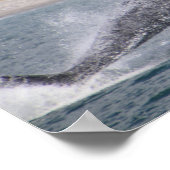 Poster Photographie de baleine sautante (Coin)