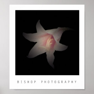 Poster Photographie de Bishop