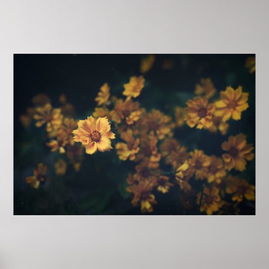 POSTER PHOTOGRAPHIE DE BOKEH DES FLEURS JAUNES (Devant)