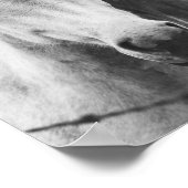 Poster Photographie de Cheval noir et blanc (Coin)