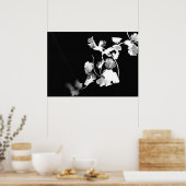 Poster Photographie de Cilantro (Cuisine)