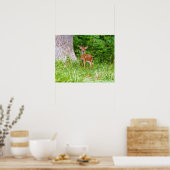 Poster Photographie de faon dans les bois (Cuisine)