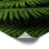 Poster Photographie de Fern Fine Art (Coin)