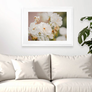 Poster Photographie de fleurs botaniques de roses blanche