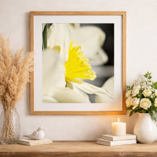 Poster Photographie de fleurs de narcisse élégantes par M