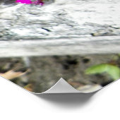 Poster Photographie de Fleurs violettes à Fayette, MO (Coin)