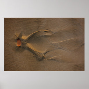 Poster Photographie de focalisation sélective du sable