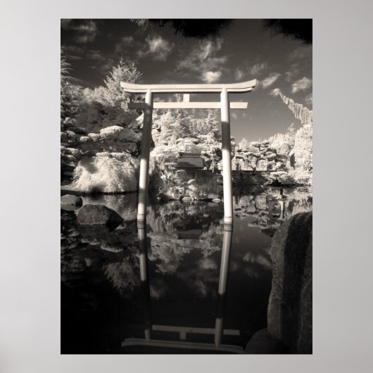 Poster Photographie de jardin infrarouge (Devant)