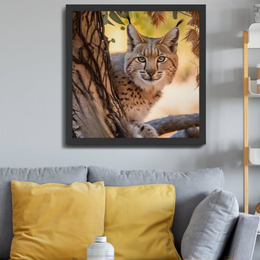Poster Photographie de la faune - fermeture de Bobcat