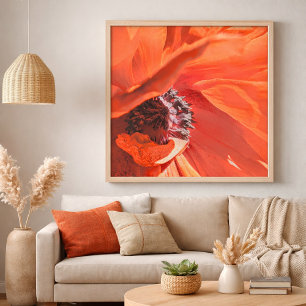 Poster Photographie de la fleur de pavot rouge vibrant pa