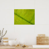 Poster Photographie de la nature botanique de la feuille (Cuisine)