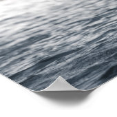 Poster Photographie de la nature du cygne blanc (Coin)