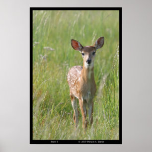 Poster Photographie de la nature "Fawn 1" empreinte de ce