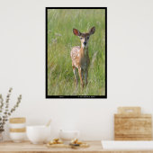 Poster Photographie de la nature "Fawn 1" empreinte de ce (Cuisine)