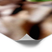 Poster Photographie de la nature, Fête de l'enfant au pri (Coin)