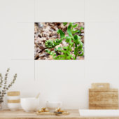 Poster Photographie de la nature, Fête de l'enfant au pri (Cuisine)