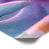 Poster Photographie de la nature Plante (Coin)