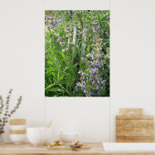 Poster Photographie de la plante bleue (Cuisine)