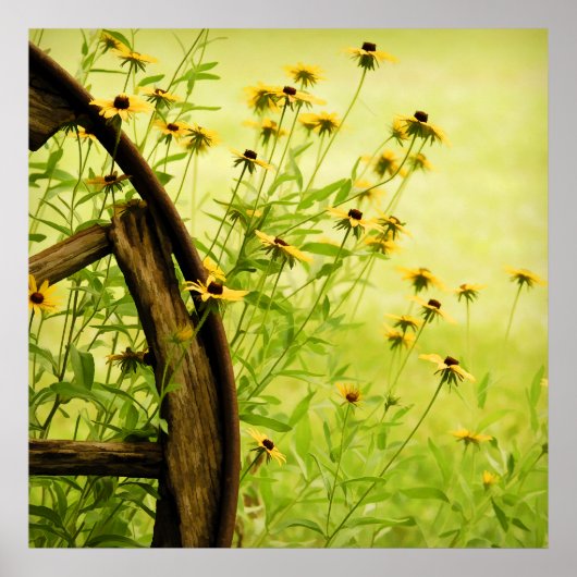 Poster Photographie de la roue Black Eyed Susan et Wagon (Devant)