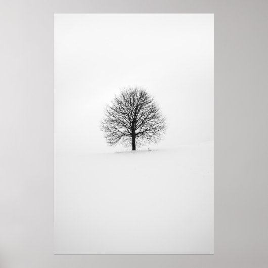 POSTER PHOTOGRAPHIE DE L'ARBRE (Devant)