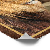 Poster Photographie de Lion de Profil (Coin)