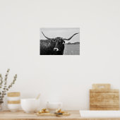 Poster Photographie de Longhorn Cow (Cuisine)