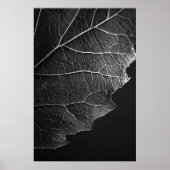 Poster Photographie de Macro par Nathan Wirth - Fermer (Devant)