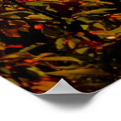 Poster Photographie de nature d'arbres verts surplombant  (Coin)