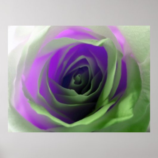 Poster Photographie de Neon Rose (Devant)
