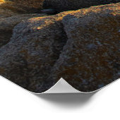 Poster photographie de paysage de seashore (Coin)