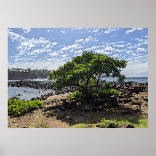 Poster Photographie de paysage naturel hawaïen