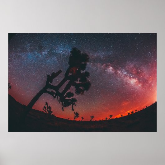 POSTER PHOTOGRAPHIE DE PÊCHE DE SILHOUETTE TREE (Devant)