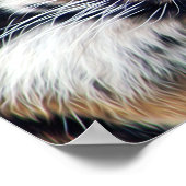 Poster Photographie de Peinture de tigre de Sibérie (Coin)