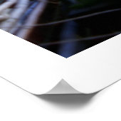 Poster Photographie de rangée d'antiquités (Coin)