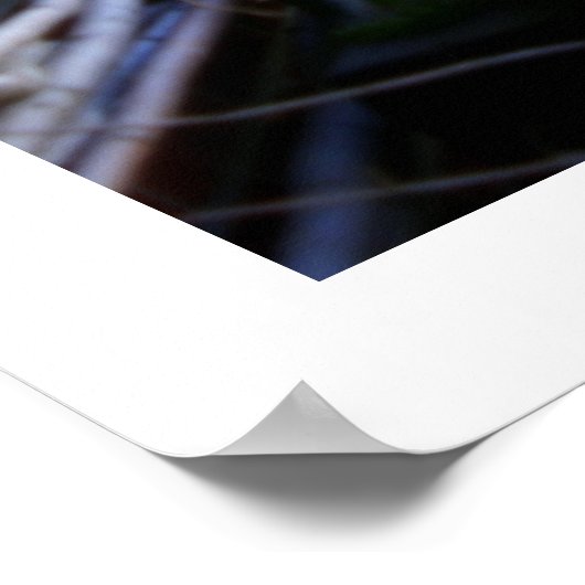 Poster Photographie de rangée d'antiquités (Coin)