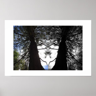 Poster Photographie de réflexion de Twisted Branches Yose