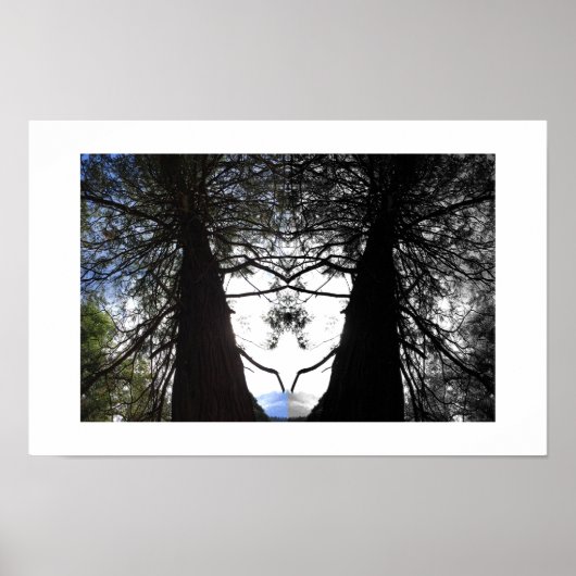 Poster Photographie de réflexion de Twisted Branches Yose (Devant)