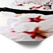 POSTER PHOTOGRAPHIE DE SAKURA (Coin)