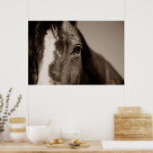 Poster Photographie de Sepia Horse (Cuisine)