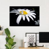 Poster Photographie de Shasta Daisy (Bureau à domicile)