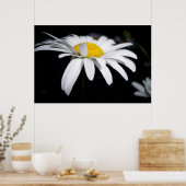 Poster Photographie de Shasta Daisy (Cuisine)