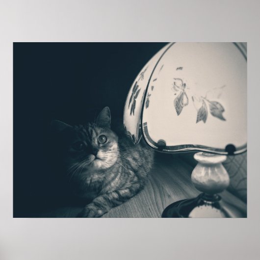 Poster Photographie de style noir de chats et lampes (Devant)
