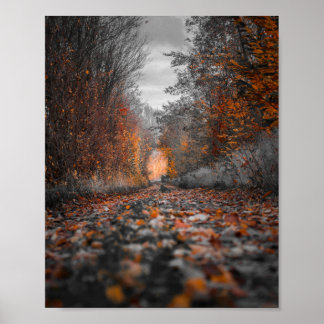 Poster Photographie des arbres automnaux