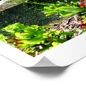 Poster Photographie des beaux-arts de Saint Bernadette (Coin)