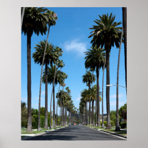 Poster Photographie des palmiers de Californie