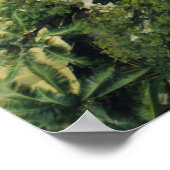 POSTER PHOTOGRAPHIE DES TERRES (Coin)